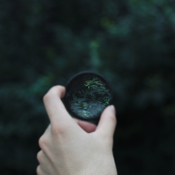 https://nelk-shuhe.com/files/gimgs/27_bl8a6902.jpg