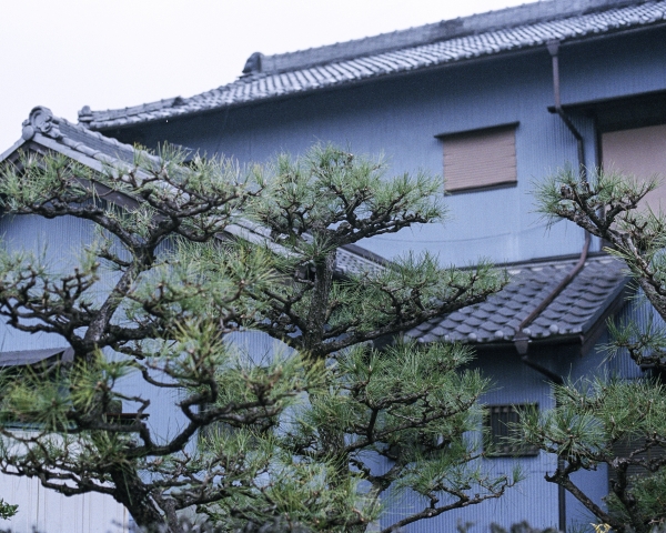 https://nelk-shuhe.com/files/gimgs/44_1603200120.jpg