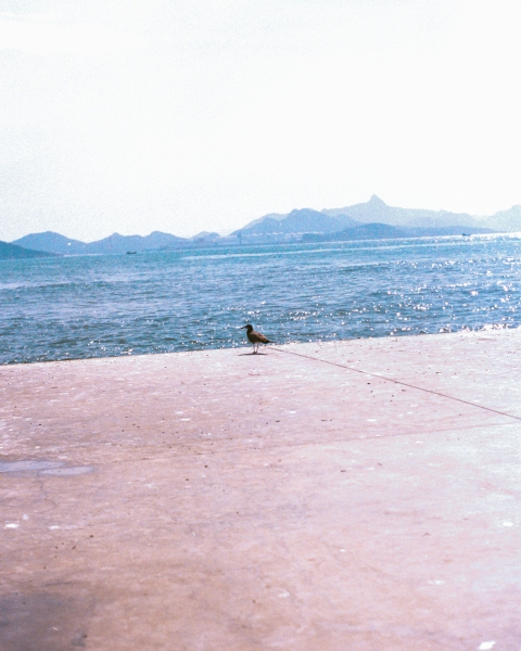 https://nelk-shuhe.com/files/gimgs/45_1-001_v2.jpg