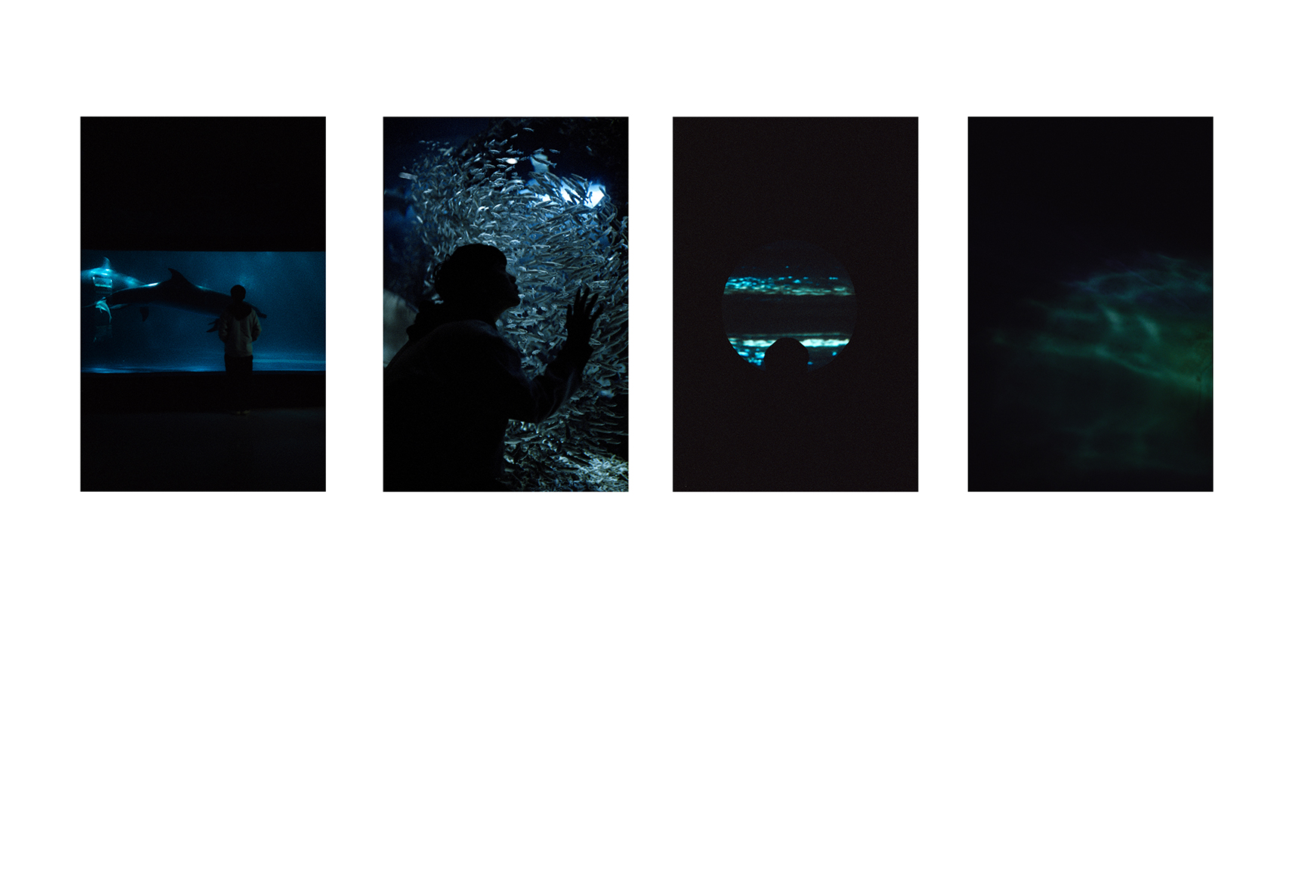 https://nelk-shuhe.com/files/gimgs/46_99.jpg