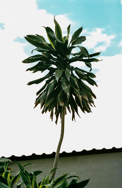 https://nelk-shuhe.com/files/gimgs/47_1-0022.jpg