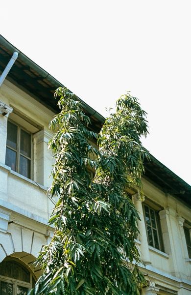 https://nelk-shuhe.com/files/gimgs/47_1-0053.jpg