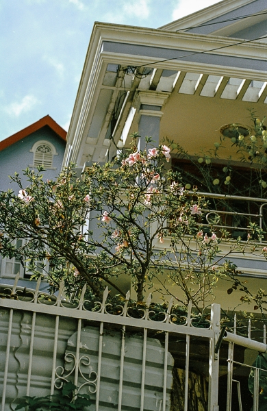 https://nelk-shuhe.com/files/gimgs/47_4-0072.jpg