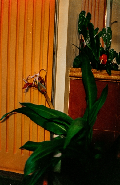 https://nelk-shuhe.com/files/gimgs/47_6-0061.jpg