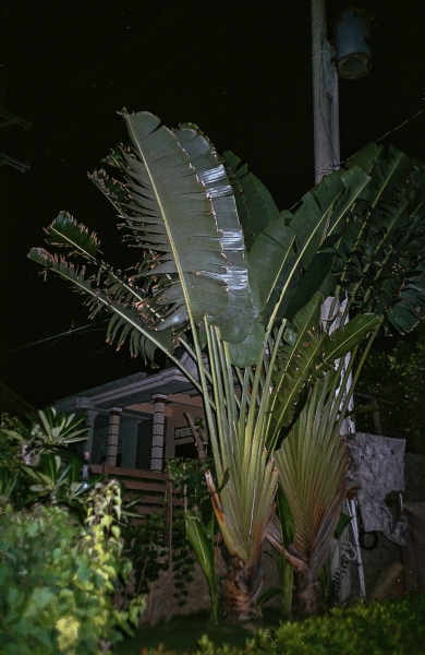 https://nelk-shuhe.com/files/gimgs/47_7-0021.jpg