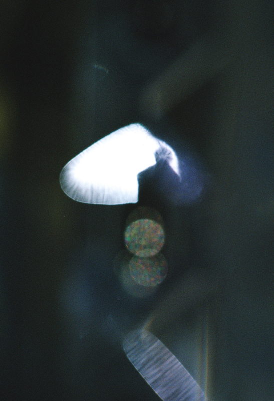 https://nelk-shuhe.com/files/gimgs/64_049.jpg