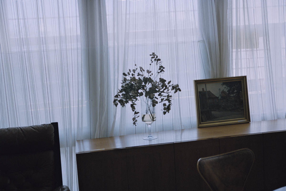 https://nelk-shuhe.com/files/gimgs/69_170809portra1510.jpg