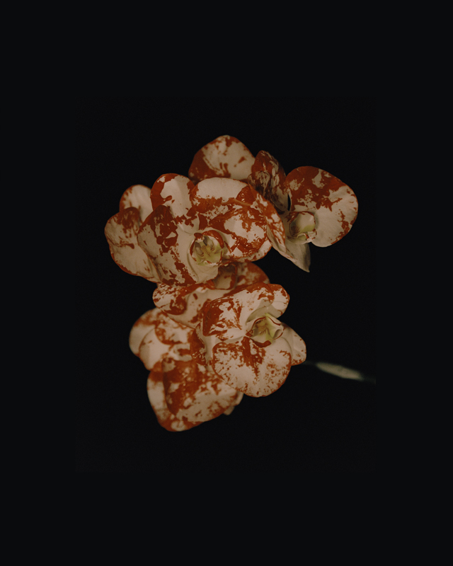 https://nelk-shuhe.com/files/gimgs/94_0001.jpg